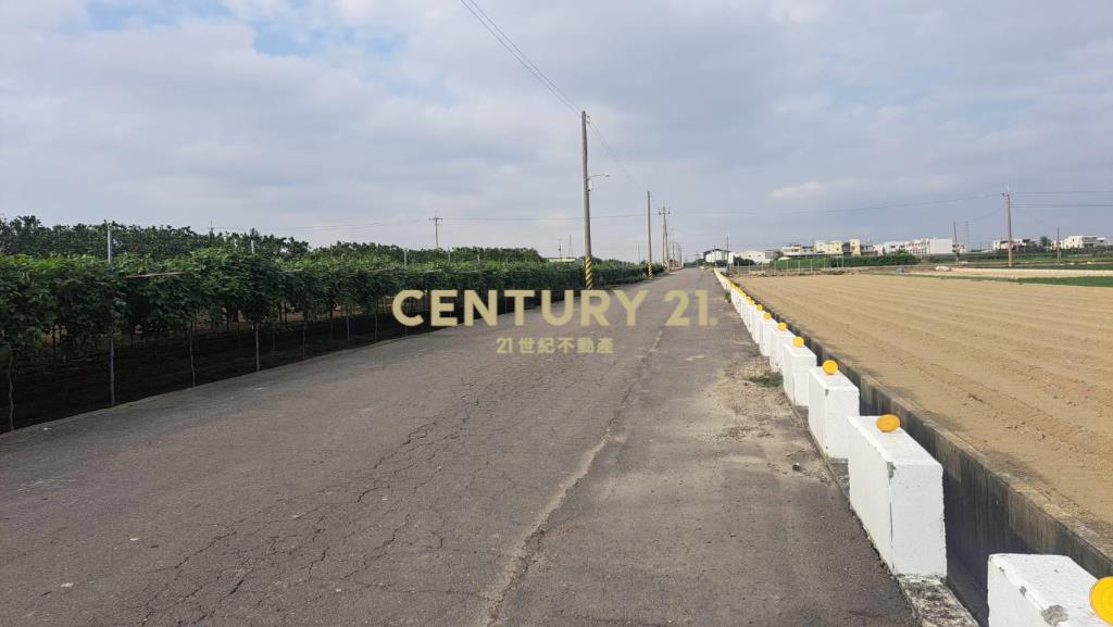 麻豆雙面路小而美文旦農地