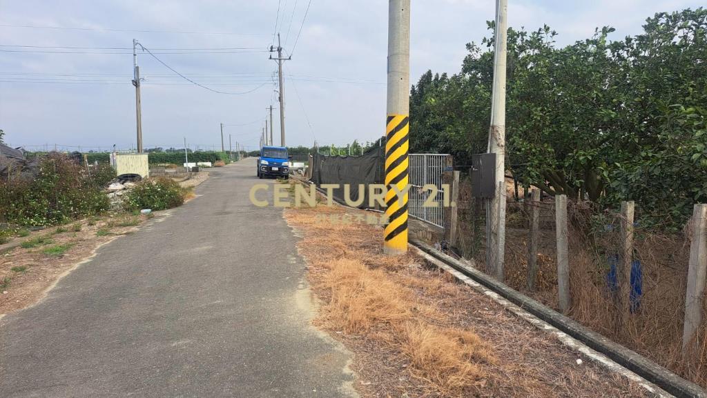 麻豆雙面路小而美文旦農地