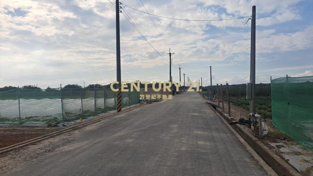 麻豆雙面路小而美文旦農地