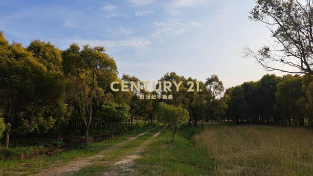 六甲區都內資材室