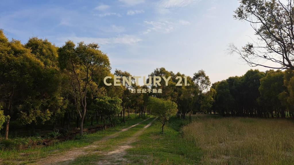 六甲區都內資材室