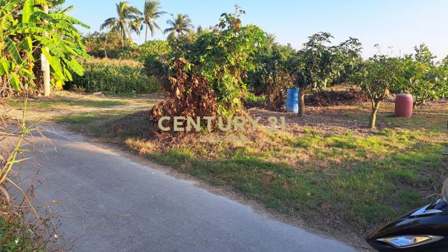 大內3.8分一般農地