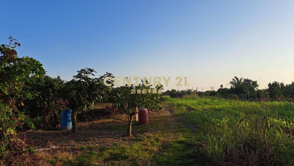 大內3.8分一般農地