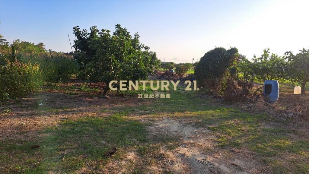 大內3.8分一般農地