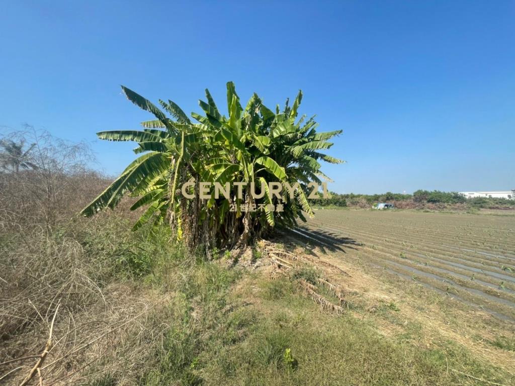 安南近聖母廟農地