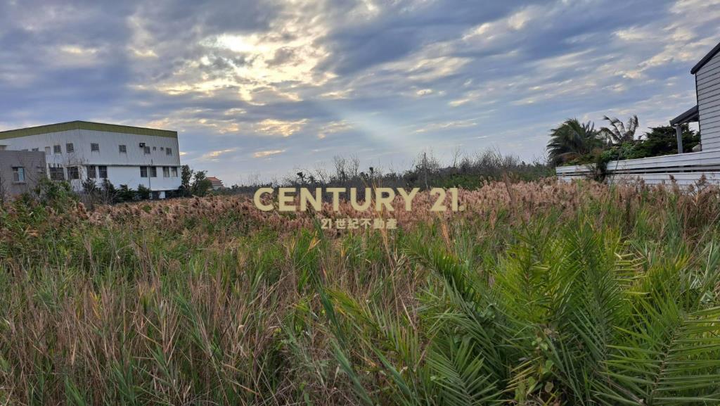 安南近聖母廟農地
