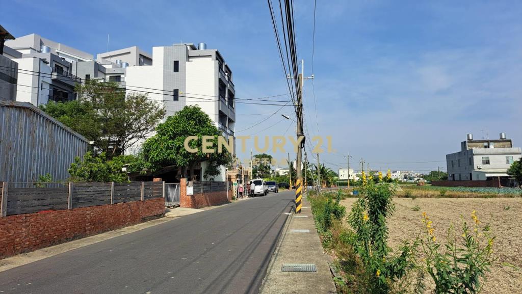 善化全新電梯雙車美墅A