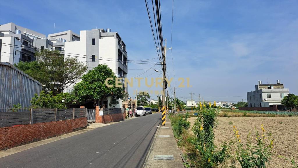 善化全新電梯雙車美墅A