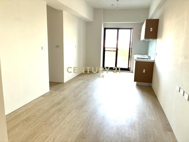 近南科善化什乃全新華廈