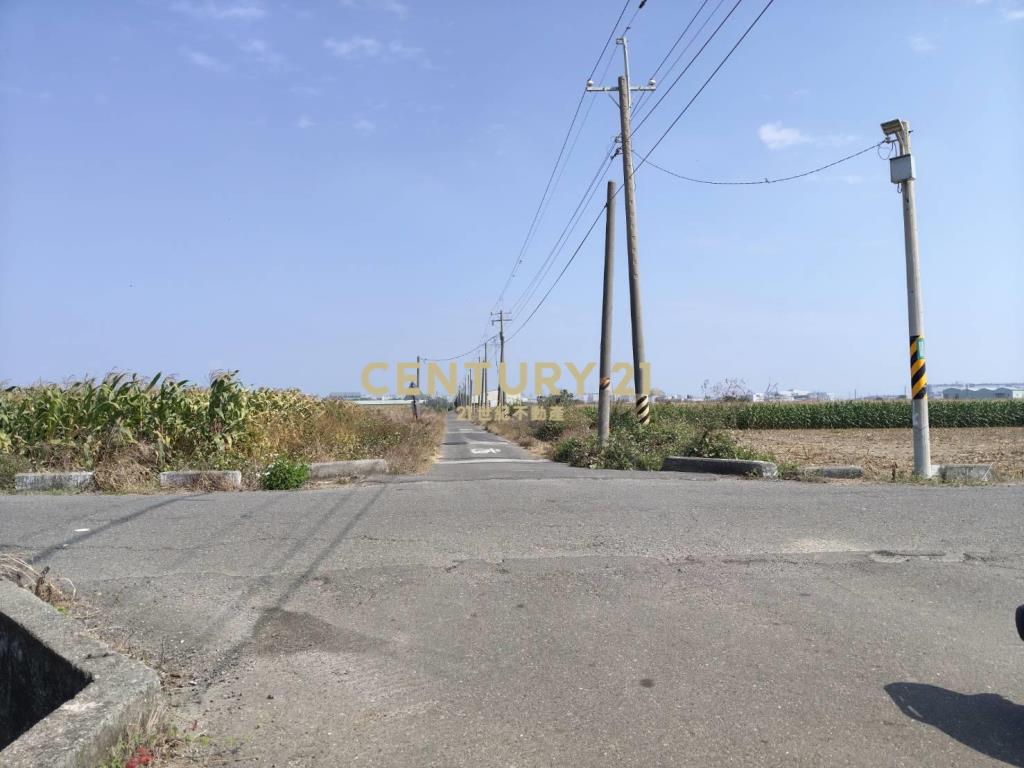 安定近南科增值農地