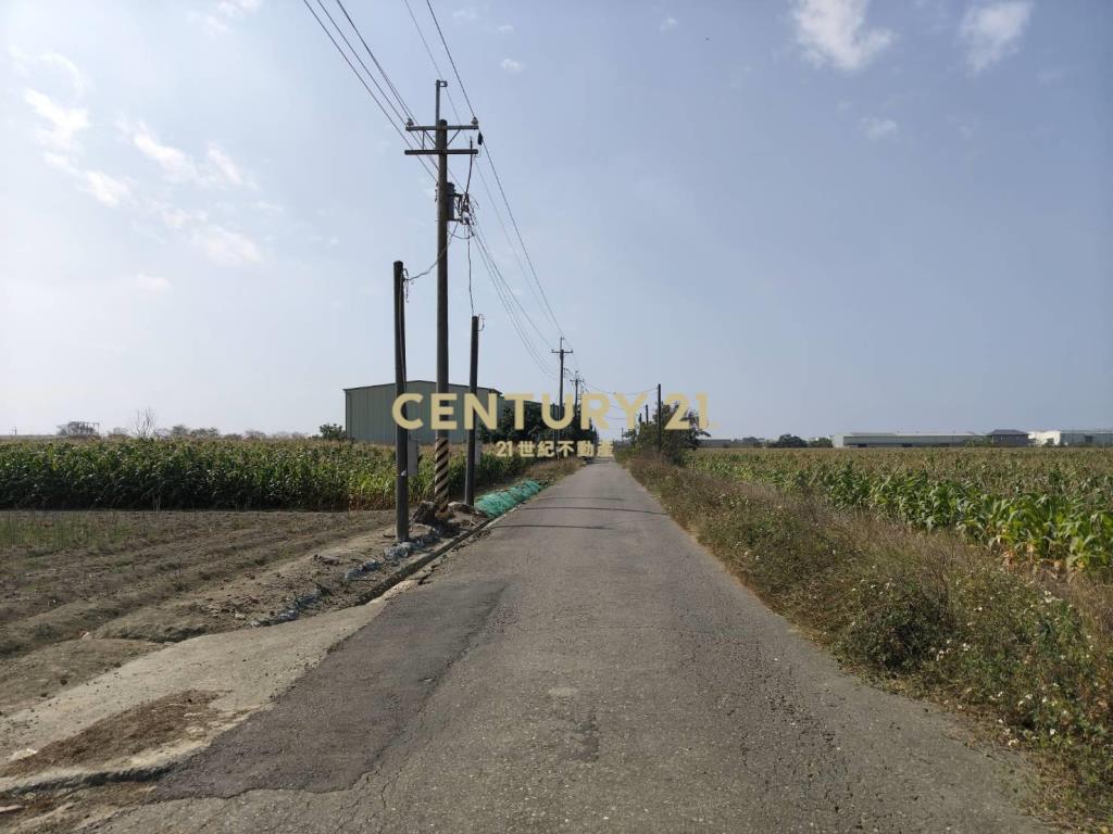 安定近南科增值農地