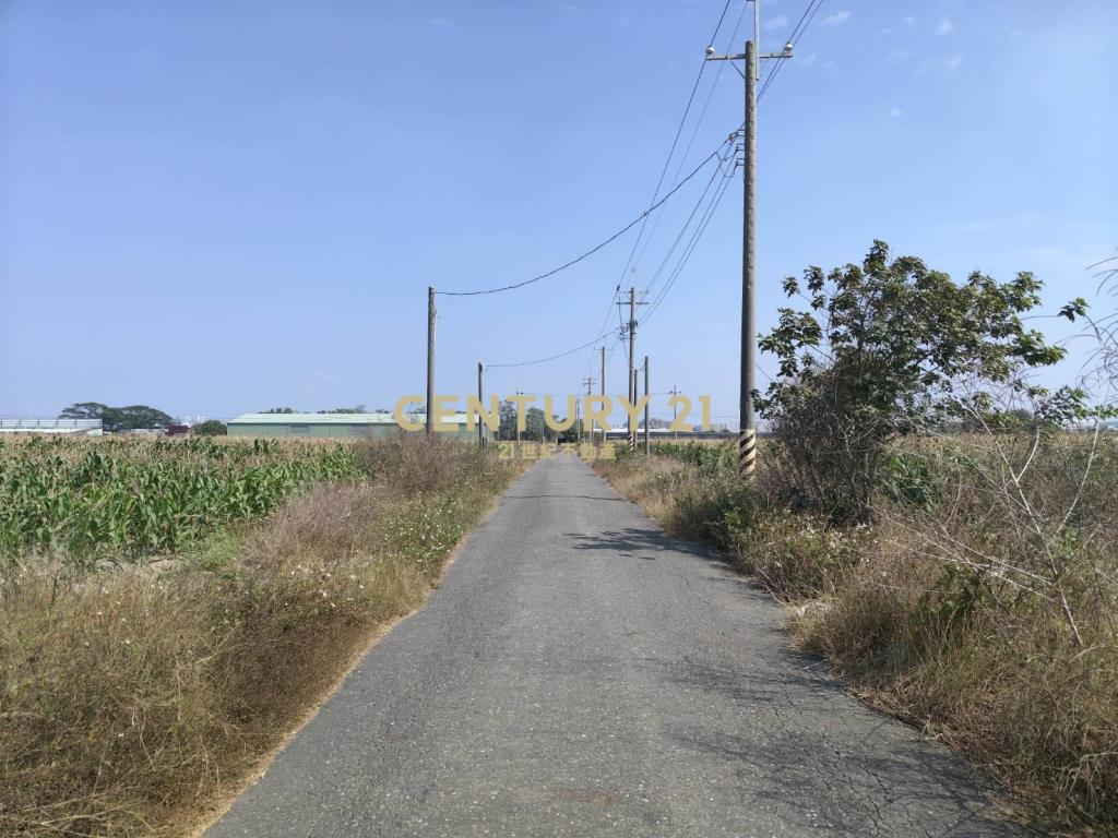 安定近南科增值農地