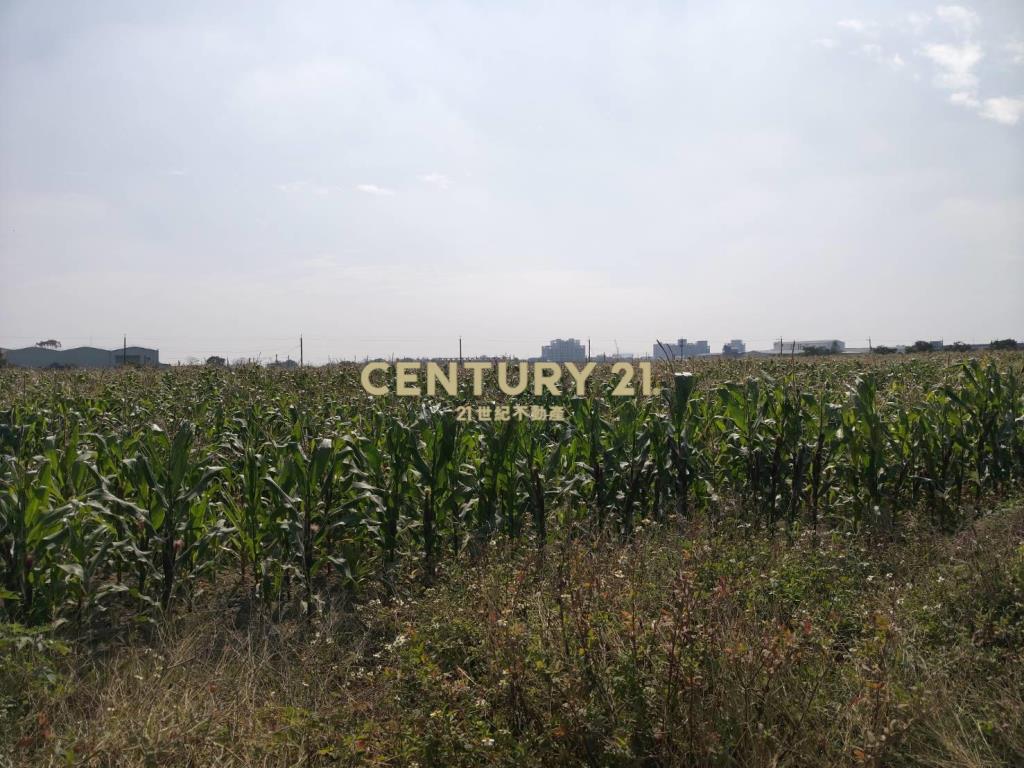 安定近南科增值農地