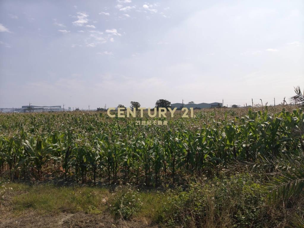 安定近南科增值農地