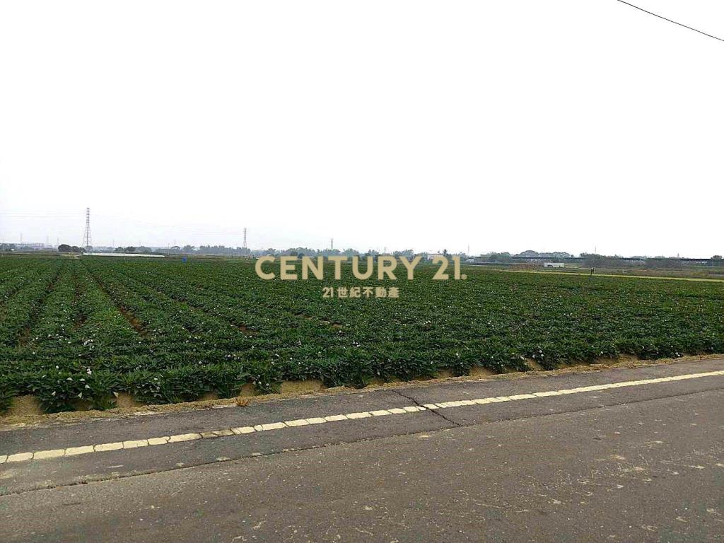 新化近果菜市場方正農地