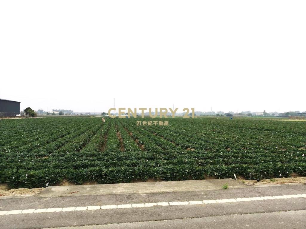 新化近果菜市場方正農地