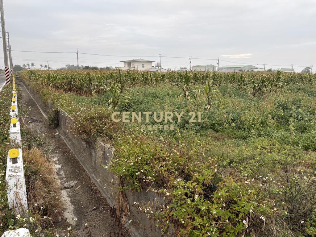 七股竹子港三角窗農地