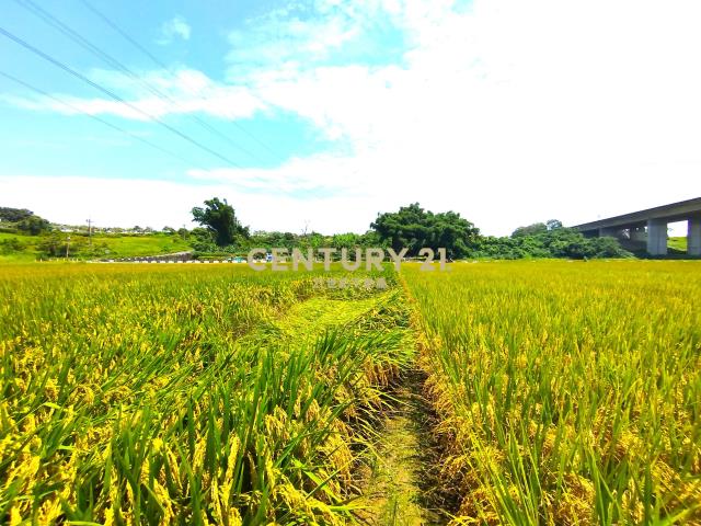 官田官中段1.5分優美農地