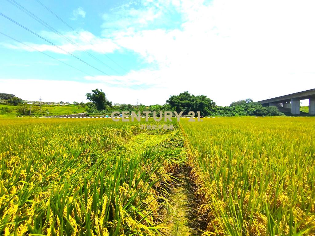 官田官中段1.5分優美農地