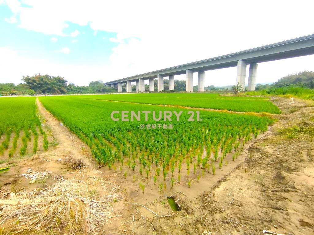 官田官中段1.5分優美農地