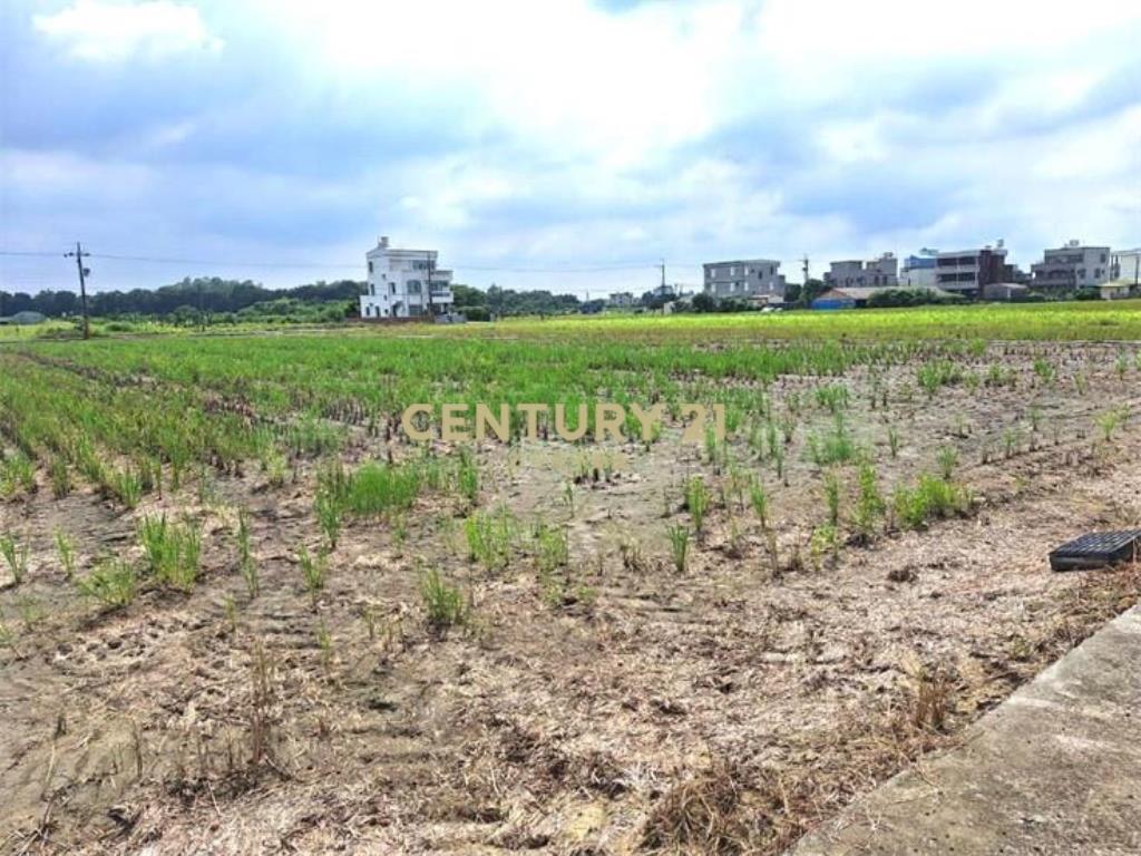 善化茄拔雙面路2.6分優美農地