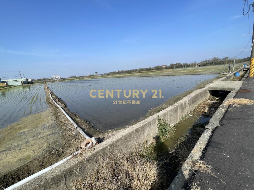 善化茄拔雙面路2.6分優美農地