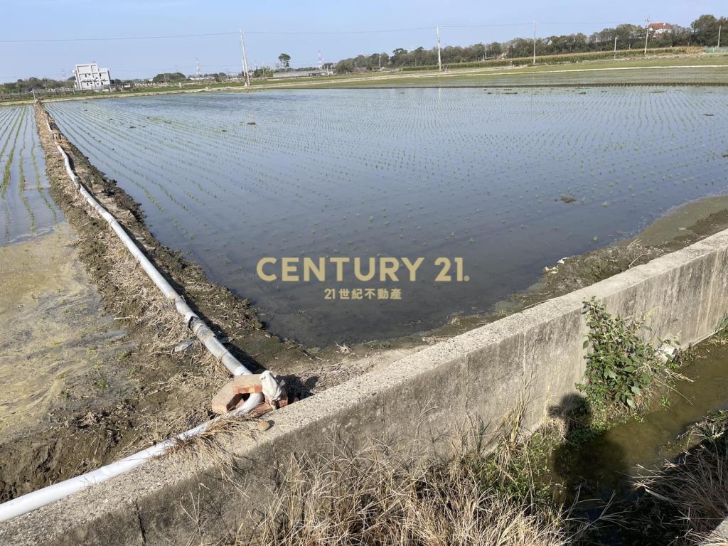 善化茄拔雙面路2.6分優美農地