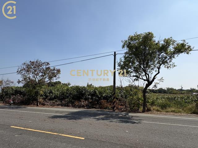 官田省道旁15米路大面寬農地