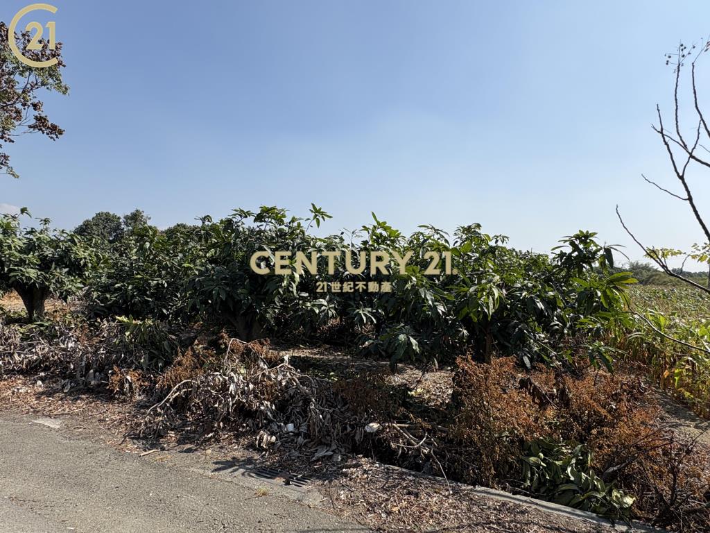 官田省道旁15米路大面寬農地