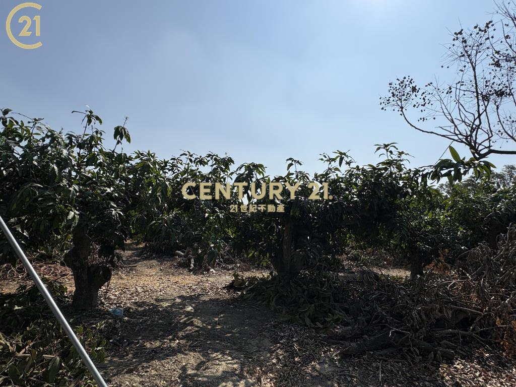 官田省道旁15米路大面寬農地