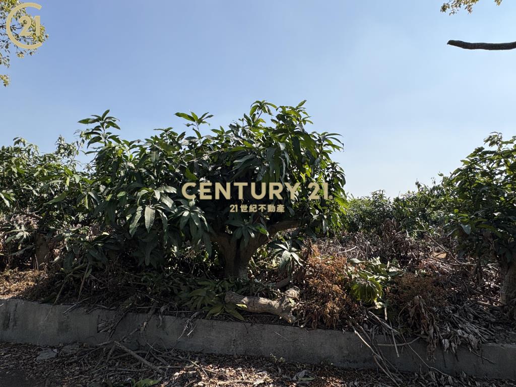 官田省道旁15米路大面寬農地