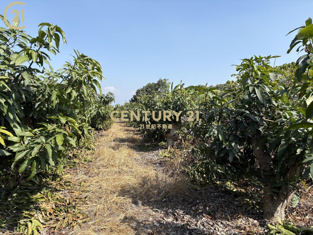 官田省道旁15米路大面寬農地