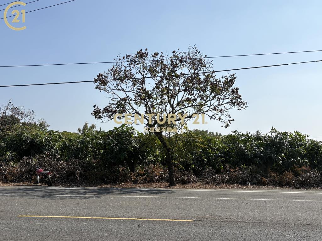 官田省道旁15米路大面寬農地