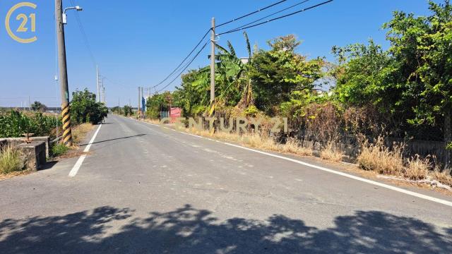 善化空地+小屋出租