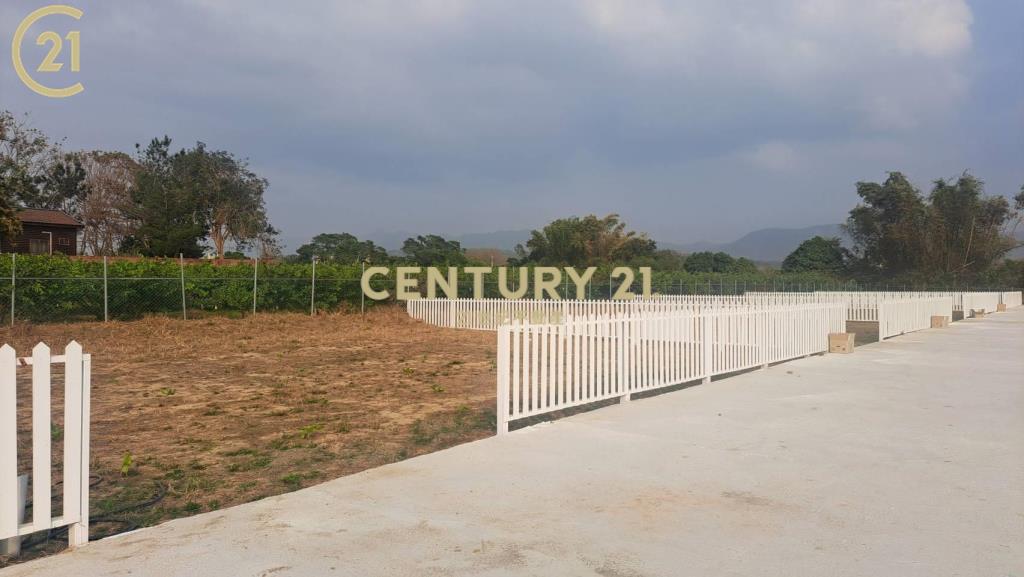 玉井樂活小而美農地