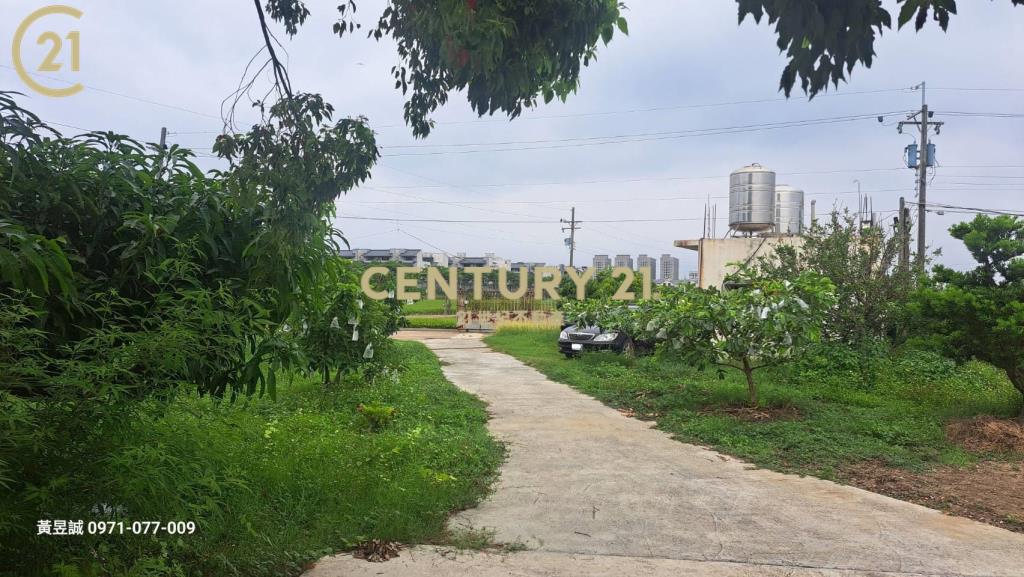 善化農地送樂活泡茶小農舍