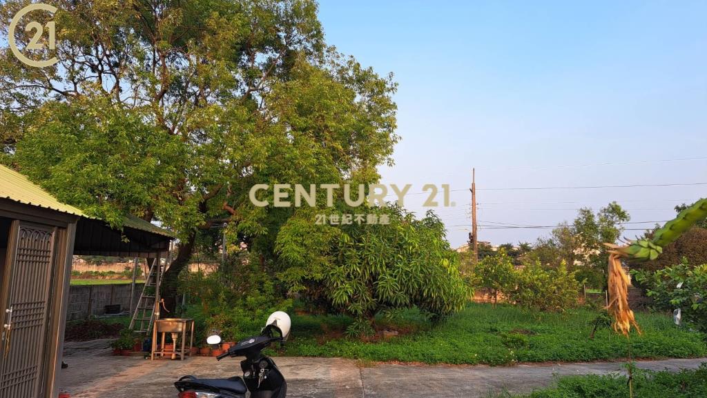 善化農地送樂活泡茶小農舍