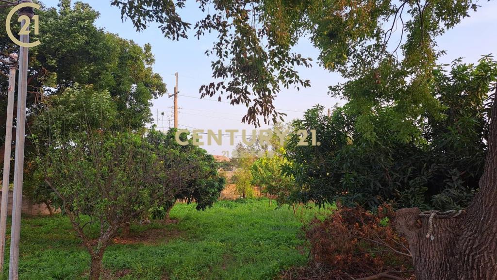 善化農地送樂活泡茶小農舍