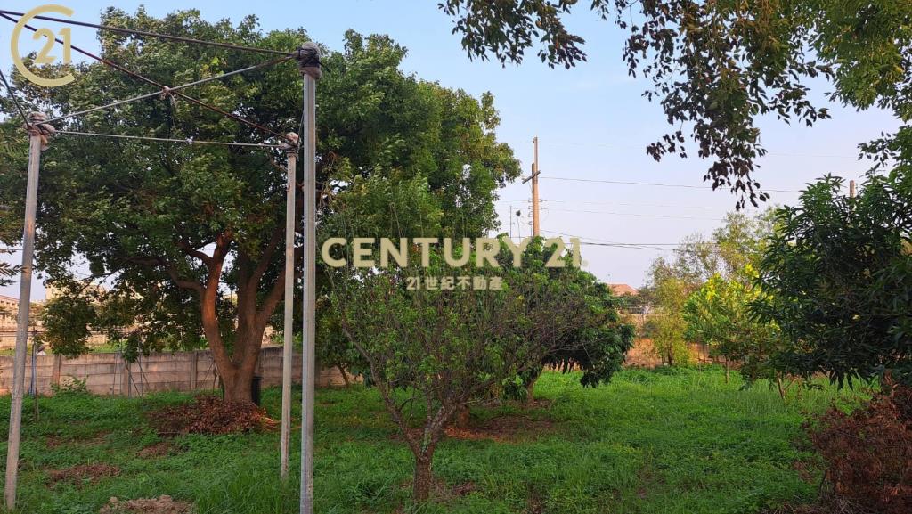 善化農地送樂活泡茶小農舍