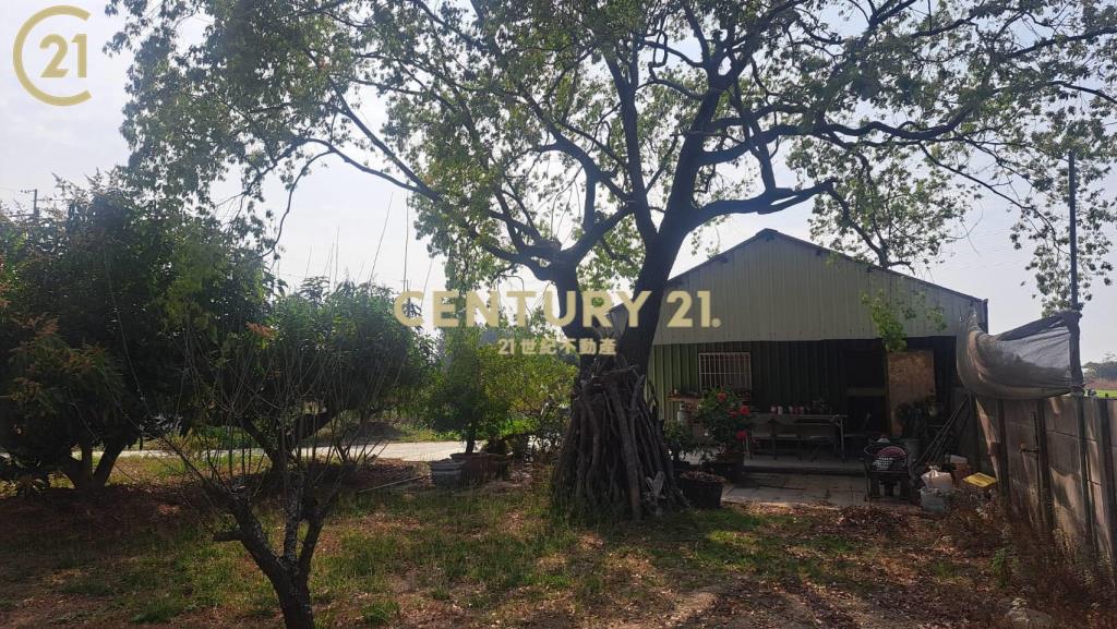 善化農地送樂活泡茶小農舍