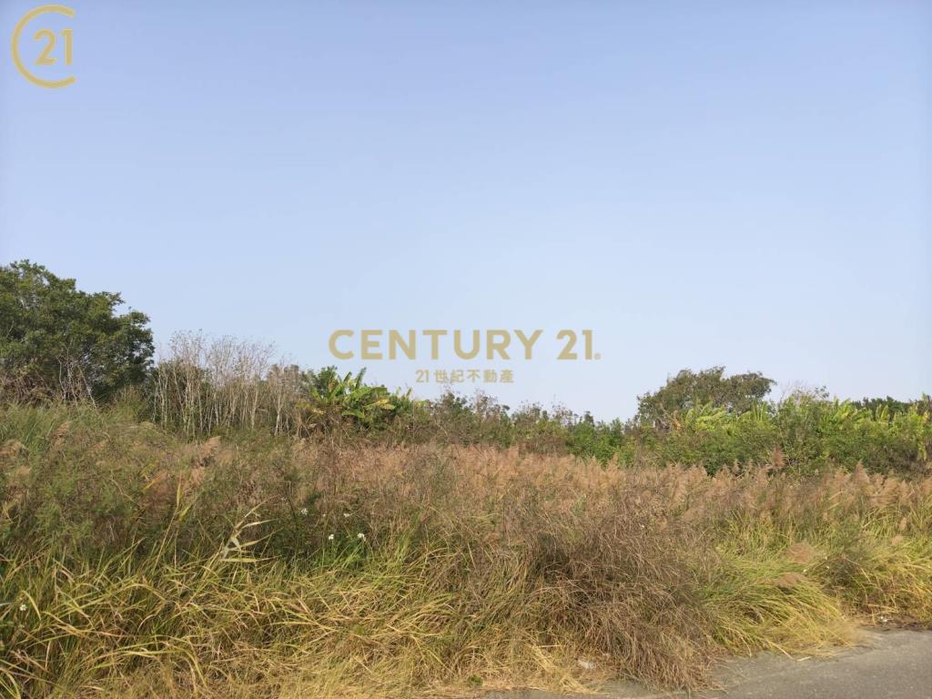 七股臨台17線建地