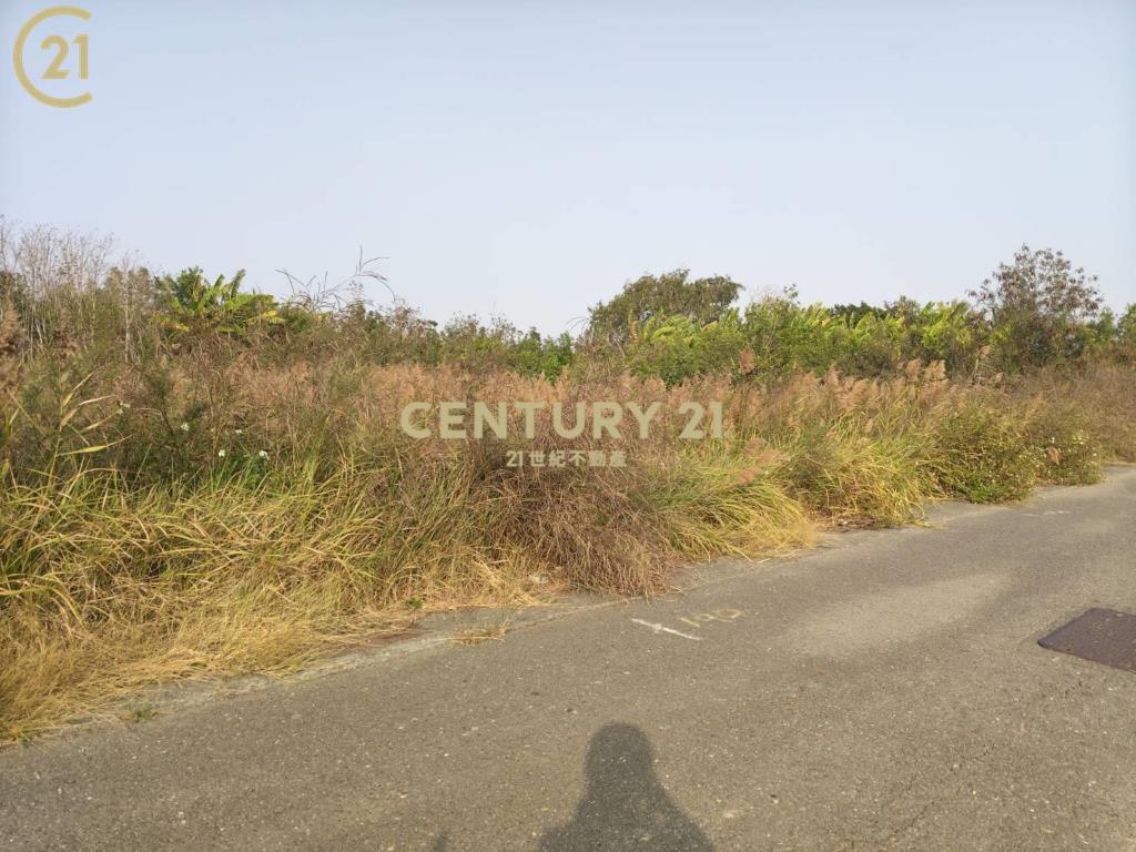 七股臨台17線建地