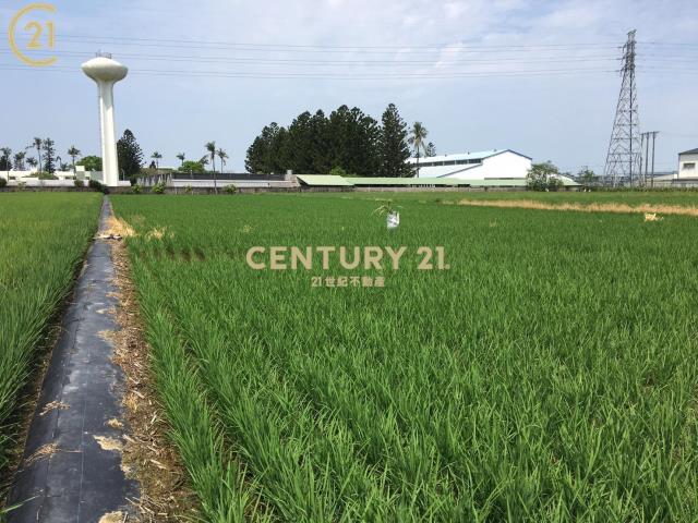 善化亞蔬旁都內農地