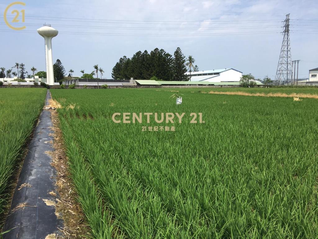 善化亞蔬旁都內農地