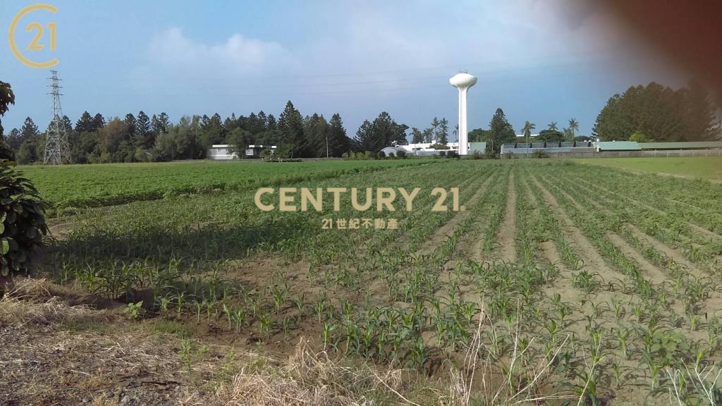 善化亞蔬旁都內農地