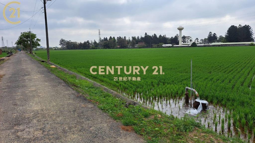 善化亞蔬旁都內農地