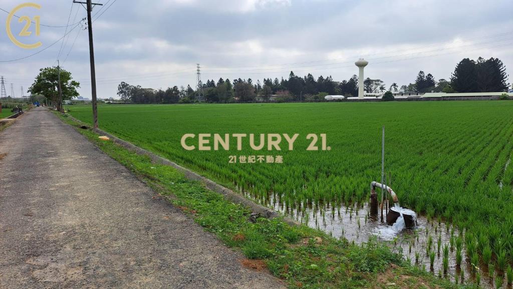 善化亞蔬旁都內農地