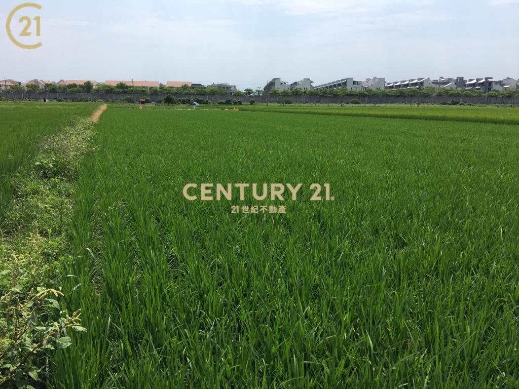 善化亞蔬旁都內農地