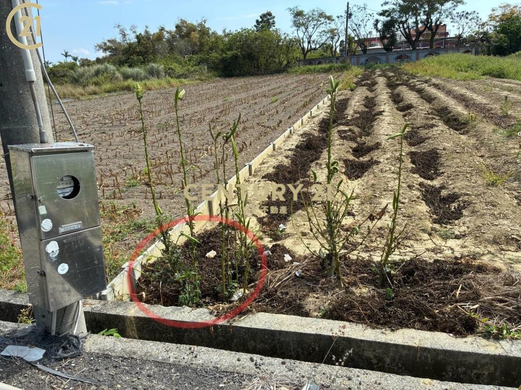 柳營臨台一省道2.7分農地