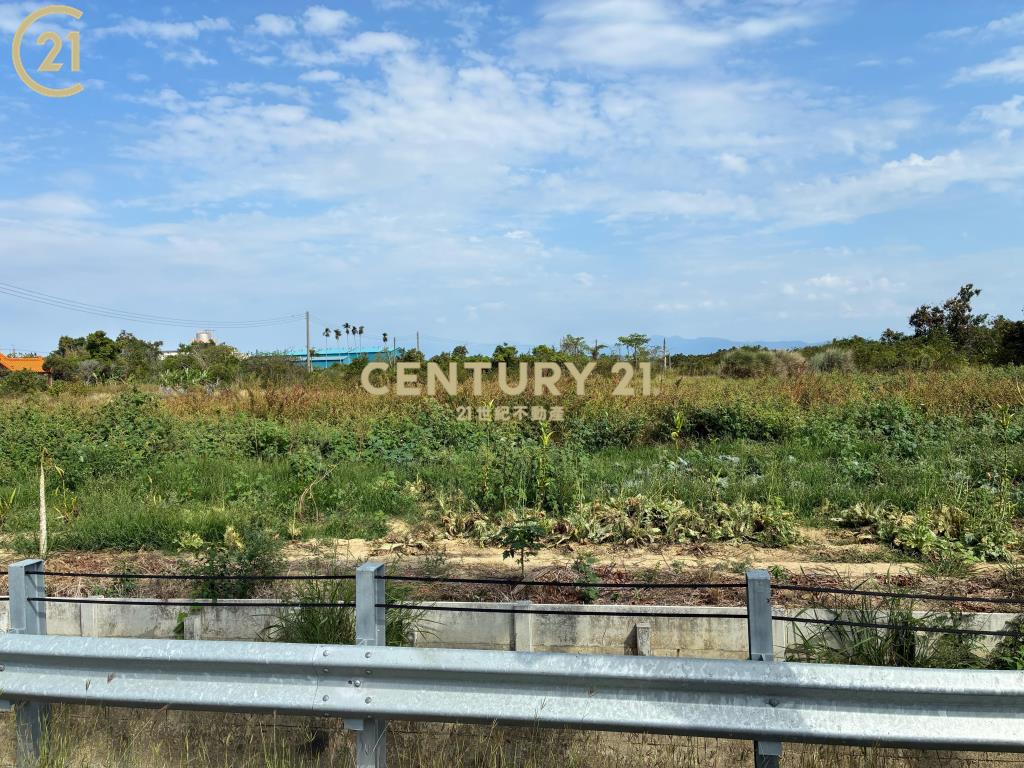 柳營臨台一省道2.7分農地